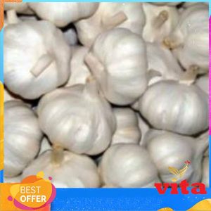 Bawang Putih Biasa 1kg